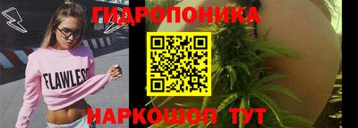 тгк Гусь-Хрустальный