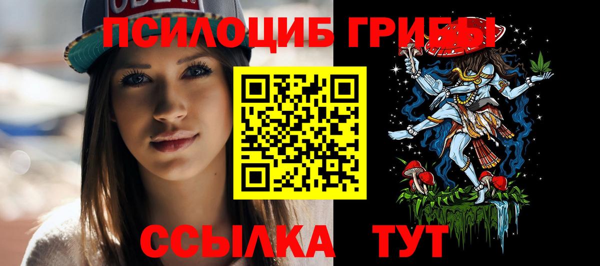 Кондопога  Псилоцибиновые грибы Cubensis  Вход с VPN 